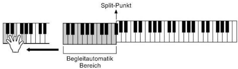 Split-Punkt Begleitautomatik Bereich