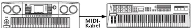 MIDI- Kabel