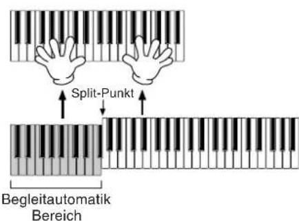 Split-Punkt Begleitautomatik Bereich