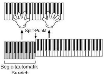 Split-Punkt Begleitautomatik Bereich