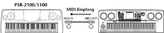 PSR-2100/1100 MIDI-Empfang MIDI IN MIDI OUT