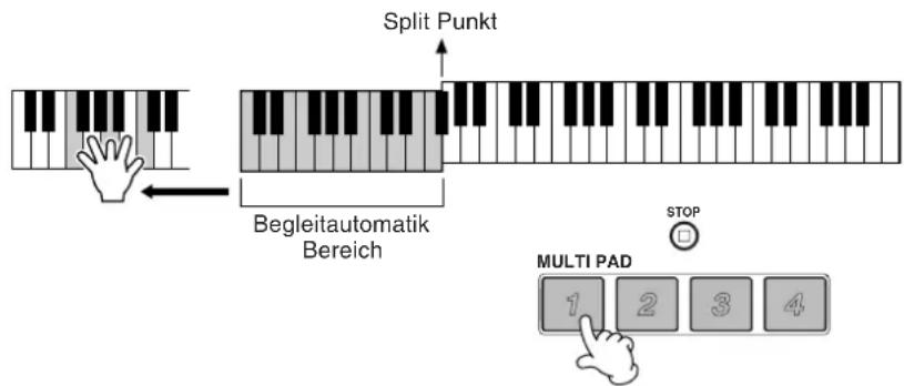 Split Punkt Begleitautomatik Bereich STOP MULTI PAD 1 2 3 4