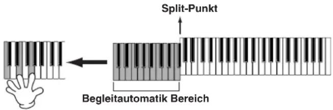 Split-Punkt Begleitautomatik Bereich