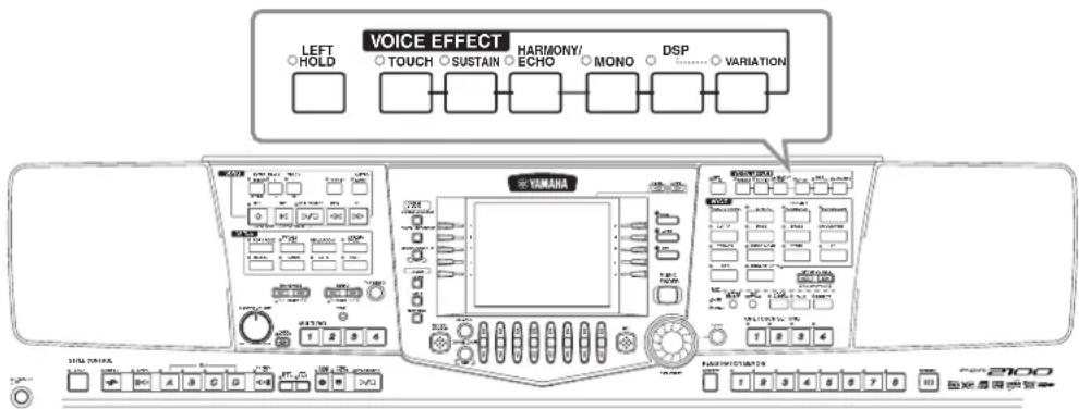 LEFT HOLD VOICE EFFECT TOUCH SUSTAIN HARMONY/ ECHO MONO DSP VARIATION YAMAHA 1 2 3 4 SINJA KONKA TOMA POTATO 2100