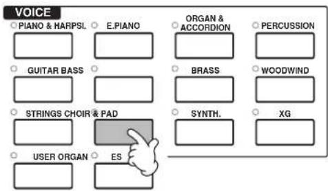 VOICE Piano & HARPSI. E.PIANO ORGAN & ACCORDION PERCUSSION GUITAR BASS BRASS WOODWIND STRINGS CHOIR & PAD SYNTH. XG USER ORGAN ES