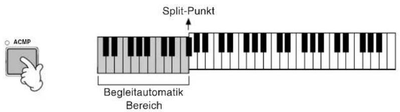 ACMP Split-Punkt Begleitautomatik Bereich