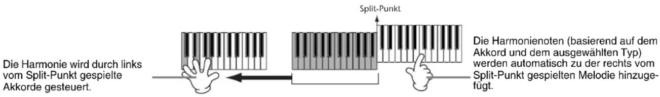 Die Harmonie wird durch links vom Split-Punkt gespielte Akkorde gesteuert. Split-Punkt Die Harmonienoten (basierend auf dem Akkord und dem ausgewählten Typ) werden automatisch zu der rechts vom Split-Punkt gespielten Melodie hinzuge- fügt.