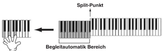 Split-Punkt Begleitautomatik Bereich