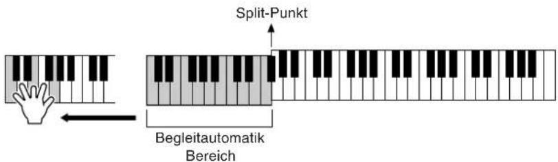 Split-Punkt Begleitautomatik Bereich