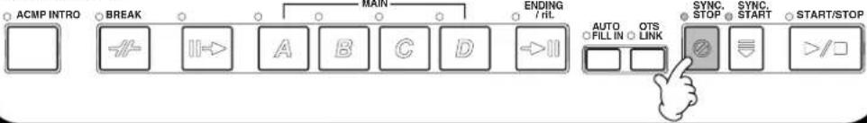 ACMP INTRO BREAK MAIN ENDING / HL AUTO FILL IN OTS LINK SYNC STOP SYNC START START/STOP //-/☐