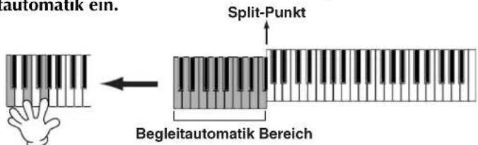 automatik ein. Split-Punkt Begleitautomatik Bereich
