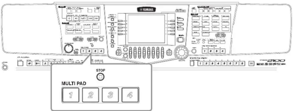 STOP MULTI PAD 1 2 3 4