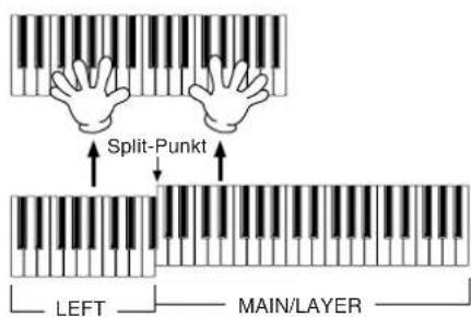 Split-Punkt LEFT MAIN/LAYER