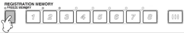 REGISTRATION MEMORY FREEZE MEMORY 1 2 3 4 5 6 7 8 000