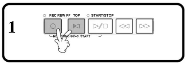 REC REW FF TOP START/STOP NE SONG SYNC. START