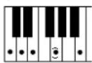 YAMAHA Portatone PSR-1100 - Im Modus Fingered erkannte Akkordarten (Beispiel für C-Akkorde) - 6