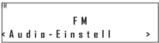 FM < Audio - Einstell >