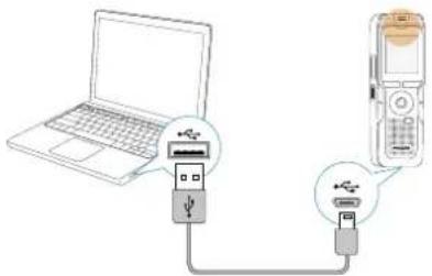 PHILIPS Voice Tracer DVT3100 - Tipp - 1