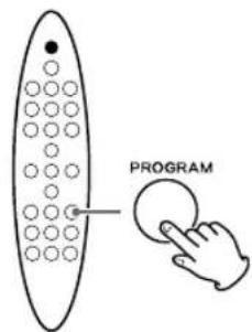 PROGRAM