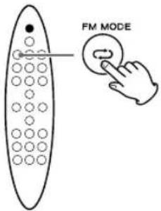 FM MODE