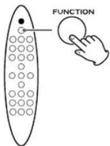 FUNCTION
