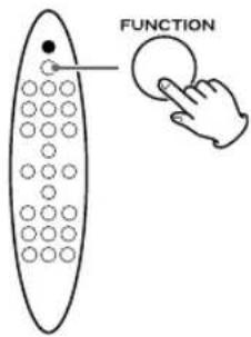 FUNCTION