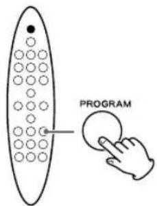PROGRAM