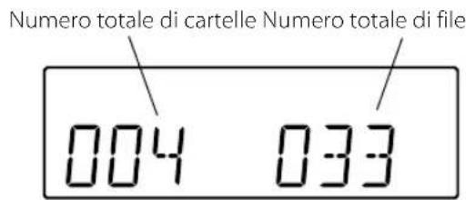 Numero totale di cartelle Numero totale di file 004 033