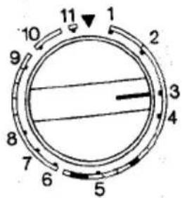 10 11 1 2 9 3 4 8 7 6 5