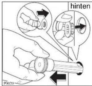 hinten P0020