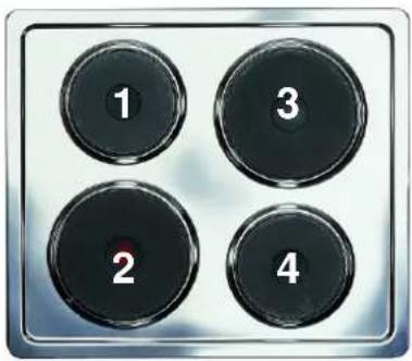 1 3 2 4