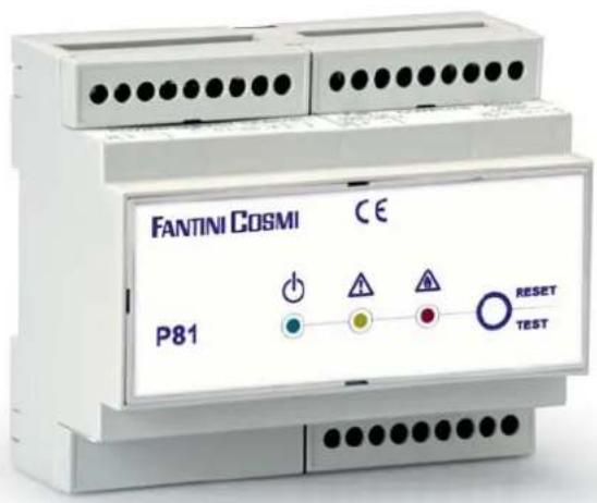 FANTINI COSMI CE P81 RESET TEST