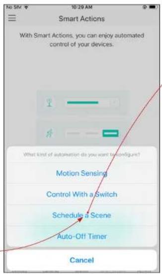 TP-LINK KL125P4 - Schedule A Scene - 2