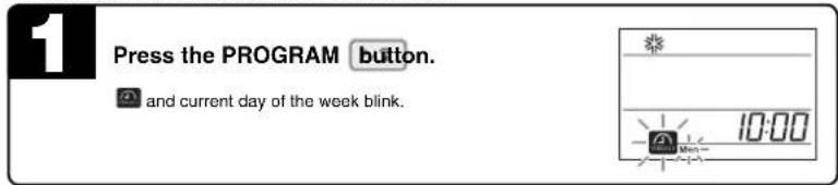 1 Press the PROGRAM button. and current day of the week blink. 10:00