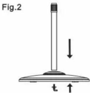 Fig.2 ↓ t ↑