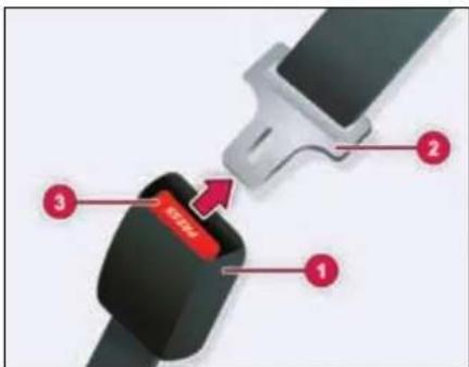 Diagram of a car seatbelt with numbered components and a red label indicating 'Red Seat'