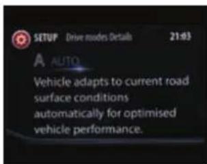 SETUP Drive modes Details 21:03 AUTO Vehicle adapts to current road surface conditions automatically for optimised vehicle performance.