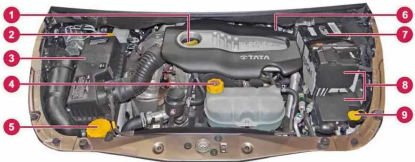 Labeled diagram of a car engine bay showing internal components and numbered parts
