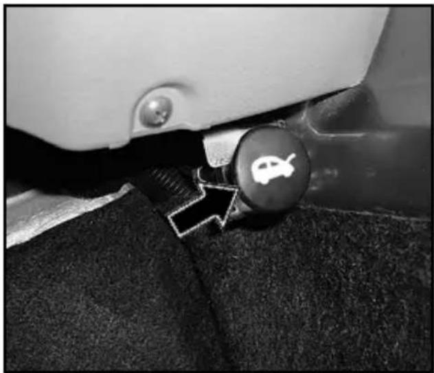 Tata Nano - Opening the front hood : - 1