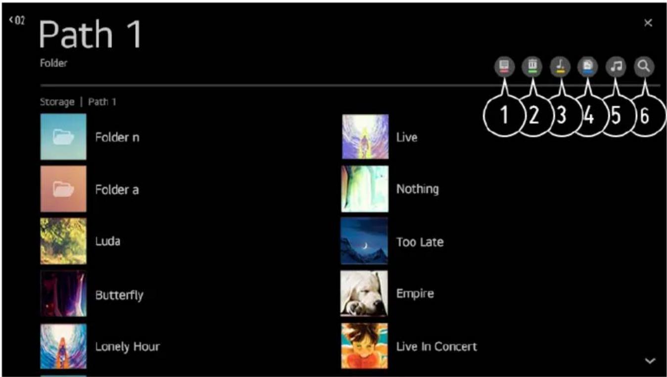 Path 1 Folder Storage | Path 1 Folder n Folder a Luda Butterfly Lonely Hour Live Nothing Too Late Empire Live In Concert 1 2 3 4 5 6