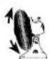 Vornado Swan - FEATURES and BENEFITS - 3