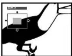 PIONEER DVD-V5000 - During playback, use the ZOOM button to select the zoom factor. - 2