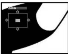 PIONEER DVD-V5000 - During playback, use the ZOOM button to select the zoom factor. - 3