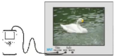 Illustration of a white swan swimming in water connected to a computer monitor (no text or symbols visible)