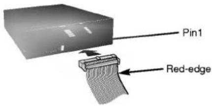 Pin1 Red-edge