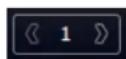 Vivotek NV9311P - 6-1-6. Layout view Control Buttons - 2