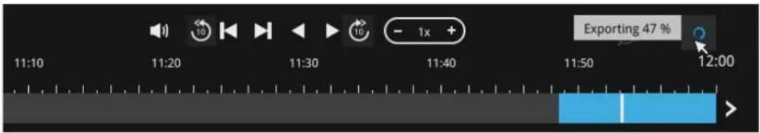 Exporting 47 %