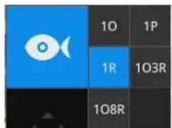10 1P 1R 103R 108R