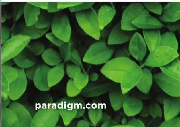Paradigm Crown CDi 1000 - Garden basis - 2