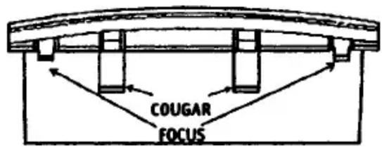 COUGAR FOCUS
